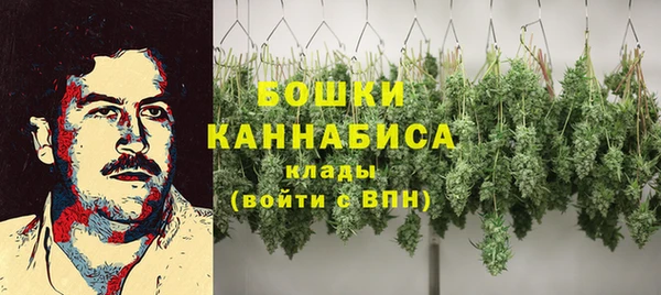 ПСИЛОЦИБИНОВЫЕ ГРИБЫ Белоозёрский