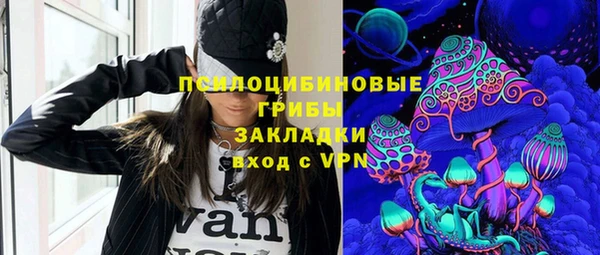 ПСИЛОЦИБИНОВЫЕ ГРИБЫ Белоозёрский
