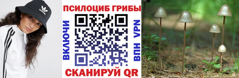 Галлюциногенные грибы Psilocybe  Ефремов 